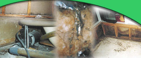 Décontamination Décontamination